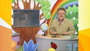 Школа Шишкиного Леса. География. Экватор и Эквадор