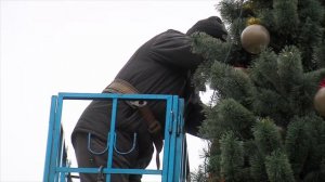 Установка елок в городе