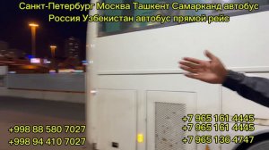 29-08-2024 #санктпетербург #москва #шимкент #ташкент #самарканд #худжанд #автобус