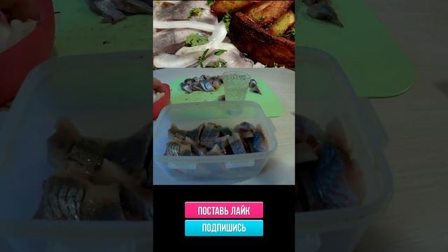 Маринованная селедка, с луком и уксусом. #shorts