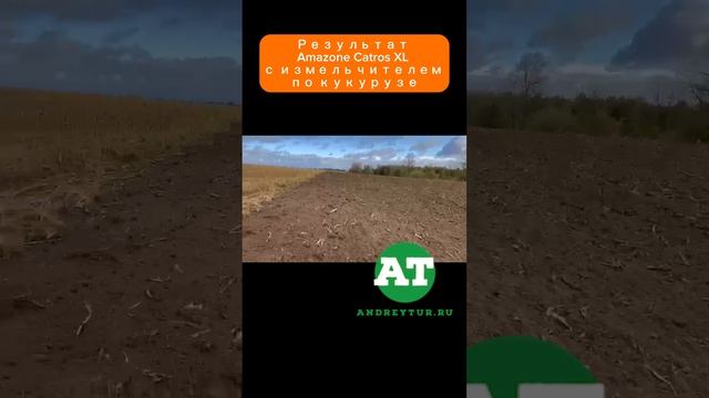 Результат Amazone Catros XL с измельчителем по кукурузе  #amazone #tillage #catros