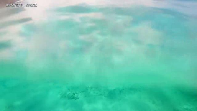 Snorkel Adventure In Cozumel! | Carnival Mardi Gras 2022! | Ep. 16