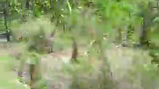 Maloh J Macabinguil смотреть онлайн