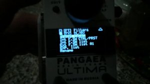 AMT Pangaea Brain frame ULTIMA U2