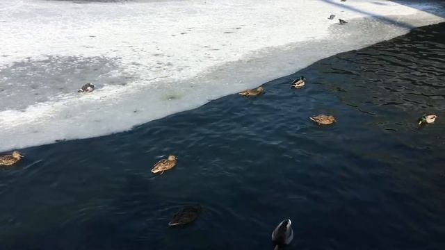 12 ВАЖНЫХ дней в году, когда нельзя работать: православный календарь. Народные Знания смотреть онлайн