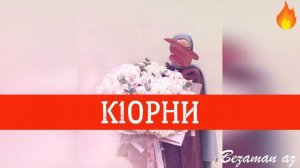 Хава Ибрагимова К1орни??