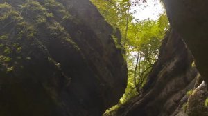 Капкан (короткометражка)