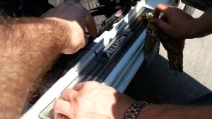 Установка накладок с подсветкой на пороги авто Тойота Аллион Стайлинг