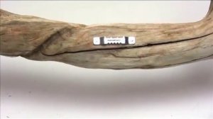 Поделки из дерева Driftwood - коряга для украшения дома