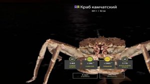 Морской Черт и Акула Сельдевая. 55 банка. Норвежское Море. Русская Рыбалка 4