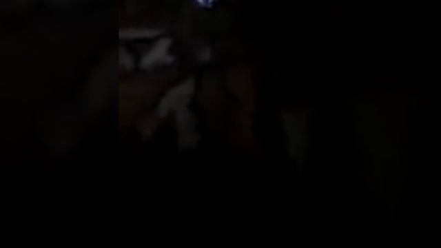 У меня на время появилось собака Джек смотреть онлайн