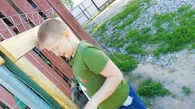 24 ЧАСА БЕЗ 'ТЕЛЕФОНА' смотреть онлайн