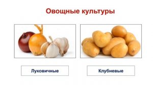 Тема 40. Культурные растения