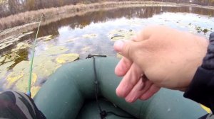 Рыбалка на лесном озере. Октябрь 2021 второй выезд.