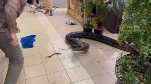 Разрушительная прогулка Big Mama по магазину