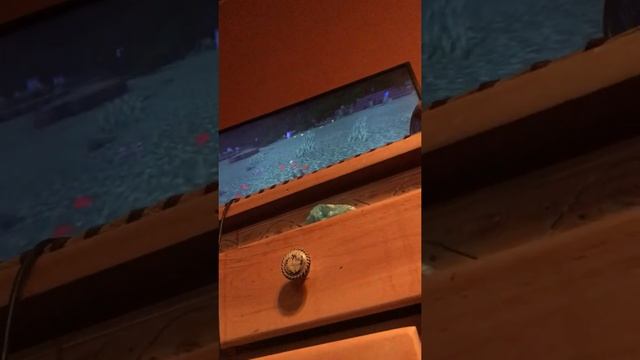 I am playing Minecraft part 1 смотреть онлайн