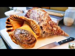 Гигантская РАКОВИНА Сашими ОКИНАВА Морепродукты. Японская уличная еда.