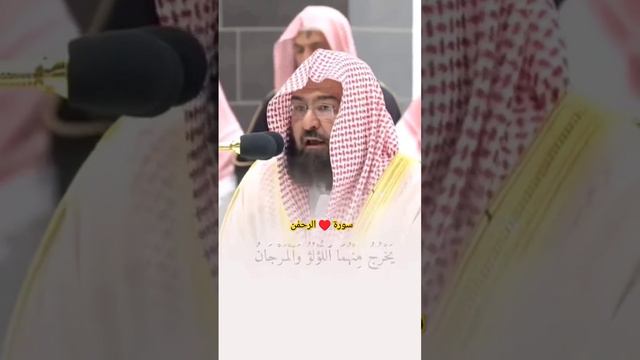 ♥️تلاوت سورۃ الرحمٰن ♥️ شیخ عبدل رحمان السدیس کی خوبصورت آواز میں 💕#quran #tilawat #islam #viral