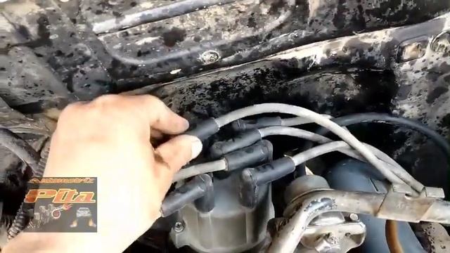 Ford Ranger 2.9 Puesta a Tiempo Distribuidor y Cables de Bujías смотреть онлайн