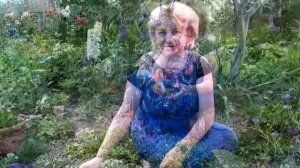 УДИВИТЕЛЬНАЯ ПАХИСАНДРА ВЕЧНОЗЕЛЕНАЯ !!! ПОСАДКА В САДУ, ВЫРАЩИВАНИЕ, УХОД