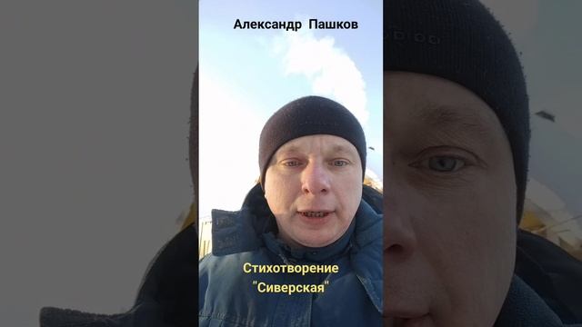 Сиверская, стихотворение Александра Пашкова