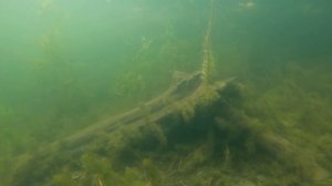 Озеро чёрное в Очёрском районе