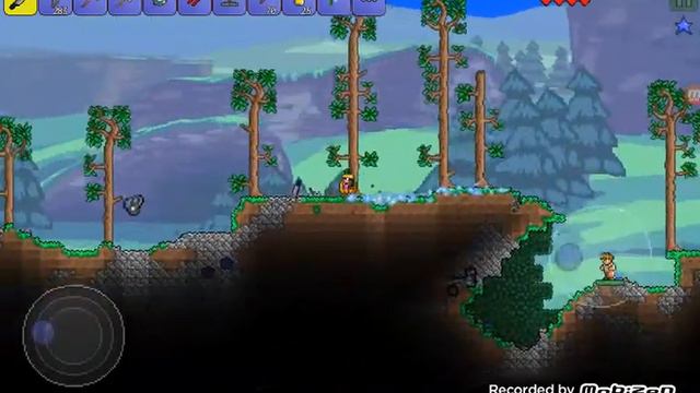 Террария 3 обмен туда сюда и ковёр самолёт смотреть онлайн