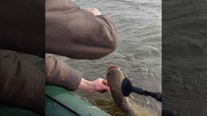 Рыбалка 15.03.2024г