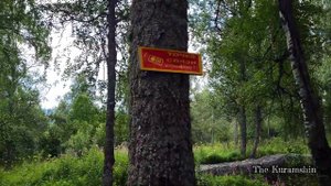 ИСТОК БЕЛОЙ РЕКИ / ДЕНЬ 4 #белаярека #отистокадоустья #экспедиция