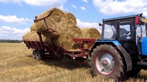 БобруйскАгромаш, техника для заготовки и хранения кормов