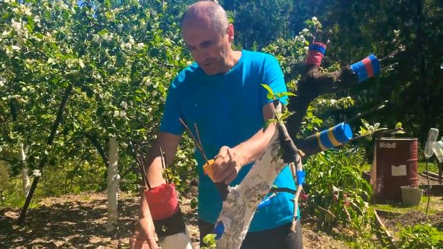 Кардинальный метод борьбы с Паршой. смотреть онлайн