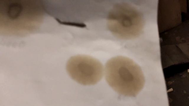 Капельные тесты моторного масла смотреть онлайн