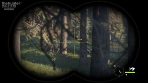 theHunter_COTW_007_Зоммер_Лук_герра_Зоммера