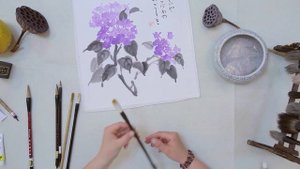 Материалы гортензия