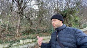 5 гектар земли в Сочи на продажу !!! Лучшее место в Сочи !!!