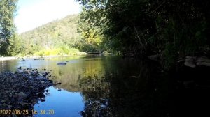 In the shadow of the forest. Rest and reflection.     В  тени  леса.  Отдых  и  размышления.