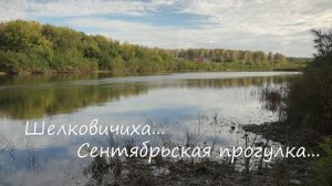 шелковичиха сентябрьская прогулка 11 09 22.mp4