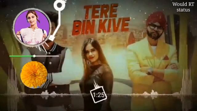 Tere Bin kive rawangi // full rimix song // avee player remix song // 3d bass song