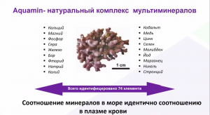 Jekaterina Kuikka - магистр материаловедения и химических наук о морском комплексе AQUAMIN.
