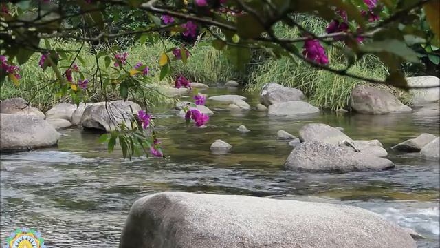 АФФИРМАЦИИ НА СЧАСТЬЕ. Мощные позитивные установки для обретения счастья на каждый день смотреть онлайн