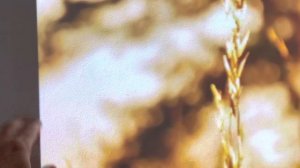 Samsung The Premiere 4K Laser Projector. LSP7T. Test with daylight.