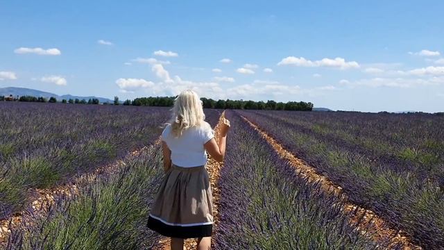 #17. Поехали со мной в Прованс на лавандовые поля #лазурныйберег #ZivileZ #прованс