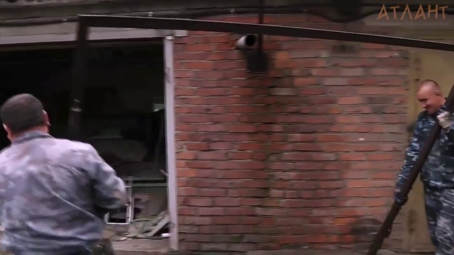 Гаражные ворота с калиткой. Распашные гаражные ворота.