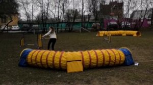 Аджилити Д0