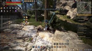 Сбор плосковеточника. Special guide