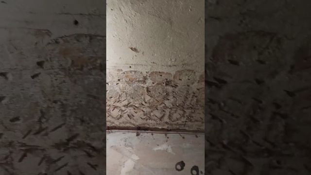 инъекционная гидроизоляция, сохранение кирпича от грибка смотреть онлайн