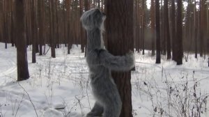 Снежный человек напал на людей