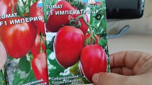 Большой обзор лучших сортов томатов. Сорта помидор проверенные временем.