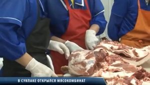 В СЕЛЕ СУКПАК ТУВА ПРОШЛО ОТКРЫТИЕ КРУПНОГО МЯСОПЕРЕРАБАТЫВАЮЩЕГО ПРЕДПРИЯТИЯ