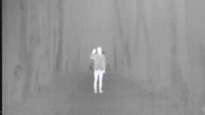 Тепловизор Pulsar Quantum HD38S. Видеообзор